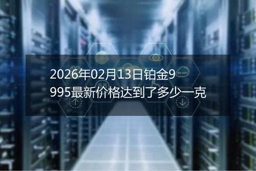 2026年02月13日铂金9995最新价格达到了多少一克