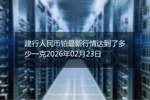 建行人民币铂最新行情达到了多少一克2026年02月23日