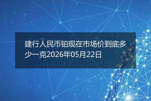 建行人民币铂现在市场价到底多少一克2026年05月22日