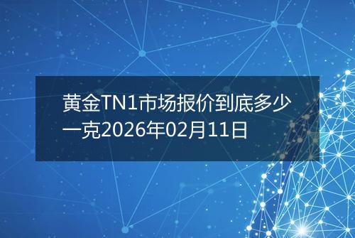 黄金TN1市场报价到底多少一克2026年02月11日