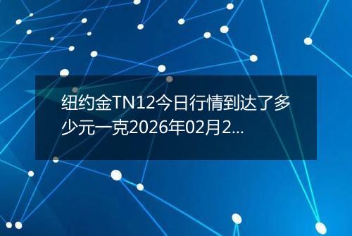 纽约金TN12今日行情到达了多少元一克2026年02月20日