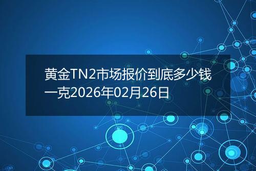 黄金TN2市场报价到底多少钱一克2026年02月26日
