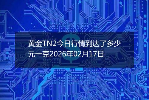 黄金TN2今日行情到达了多少元一克2026年02月17日