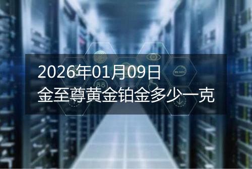 2026年01月09日金至尊黄金铂金多少一克