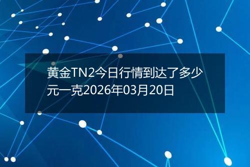 黄金TN2今日行情到达了多少元一克2026年03月20日