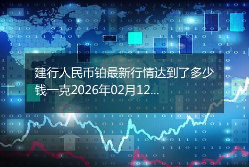 建行人民币铂最新行情达到了多少钱一克2026年02月12日