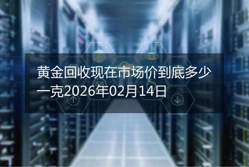 黄金回收现在市场价到底多少一克2026年02月14日