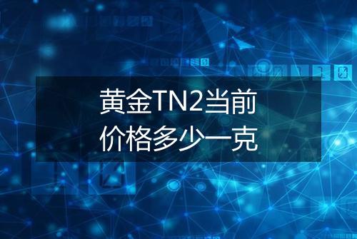 黄金TN2当前价格多少一克