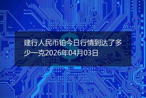 建行人民币铂今日行情到达了多少一克2026年04月03日