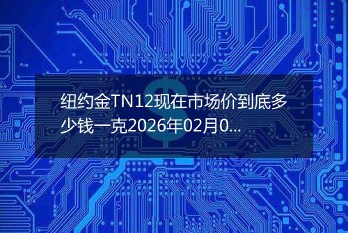 纽约金TN12现在市场价到底多少钱一克2026年02月01日