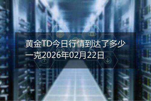 黄金TD今日行情到达了多少一克2026年02月22日