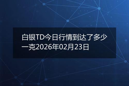 白银TD今日行情到达了多少一克2026年02月23日