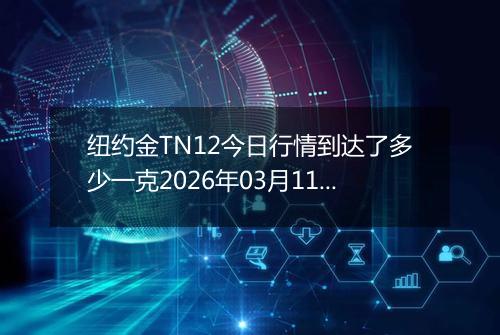 纽约金TN12今日行情到达了多少一克2026年03月11日