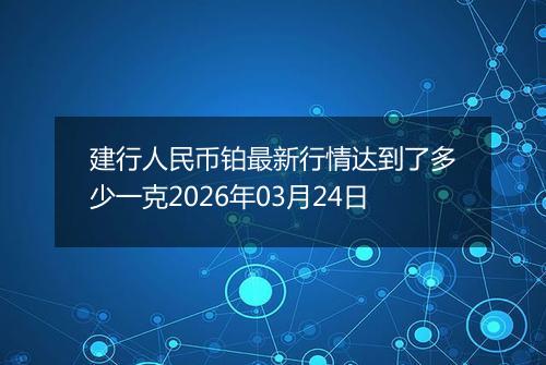 建行人民币铂最新行情达到了多少一克2026年03月24日