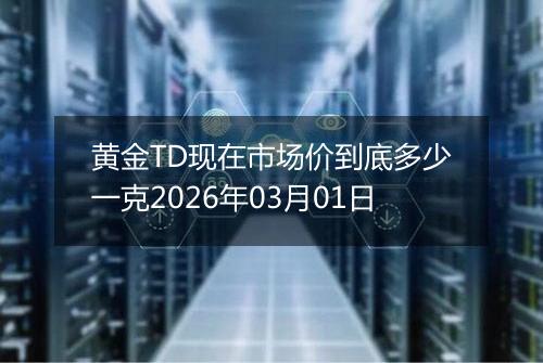 黄金TD现在市场价到底多少一克2026年03月01日