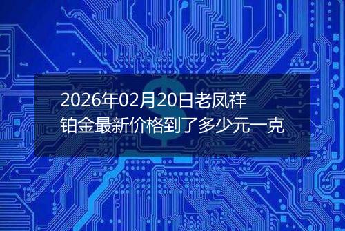 2026年02月20日老凤祥铂金最新价格到了多少元一克