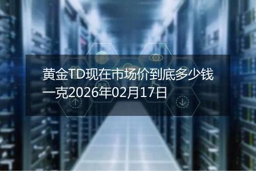 黄金TD现在市场价到底多少钱一克2026年02月17日