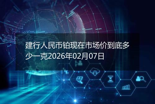 建行人民币铂现在市场价到底多少一克2026年02月07日