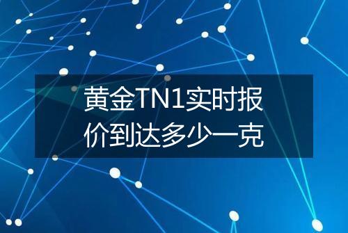 黄金TN1实时报价到达多少一克