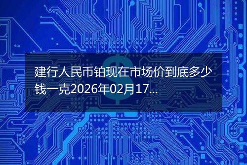 建行人民币铂现在市场价到底多少钱一克2026年02月17日