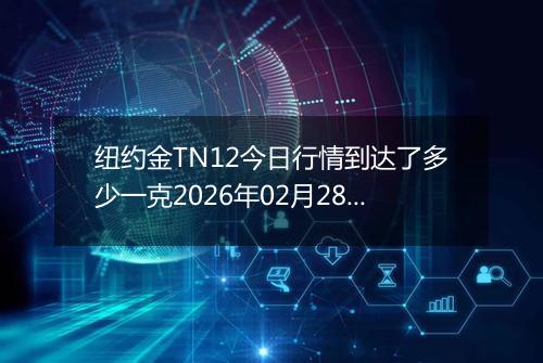 纽约金TN12今日行情到达了多少一克2026年02月28日