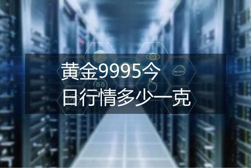 黄金9995今日行情多少一克