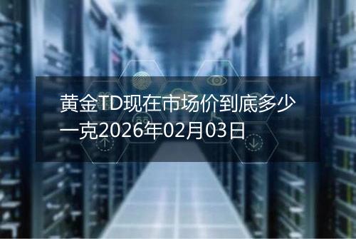 黄金TD现在市场价到底多少一克2026年02月03日
