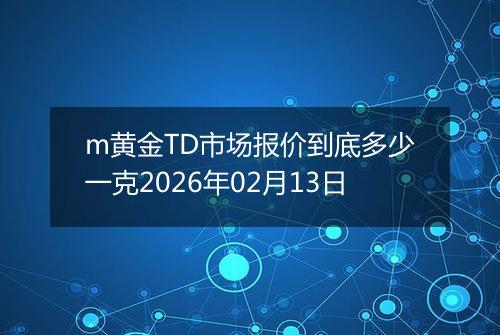 m黄金TD市场报价到底多少一克2026年02月13日