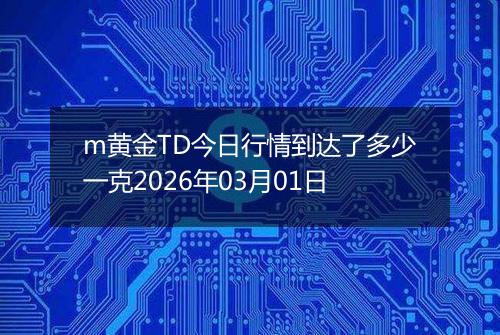 m黄金TD今日行情到达了多少一克2026年03月01日