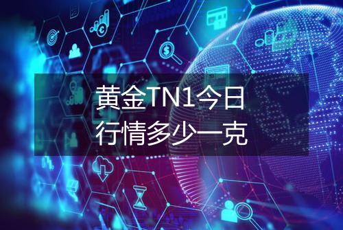 黄金TN1今日行情多少一克