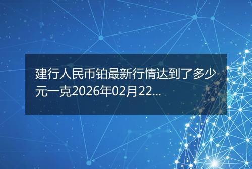 建行人民币铂最新行情达到了多少元一克2026年02月22日