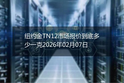 纽约金TN12市场报价到底多少一克2026年02月07日