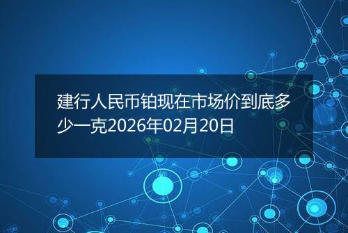 建行人民币铂现在市场价到底多少一克2026年02月20日