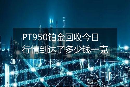 PT950铂金回收今日行情到达了多少钱一克