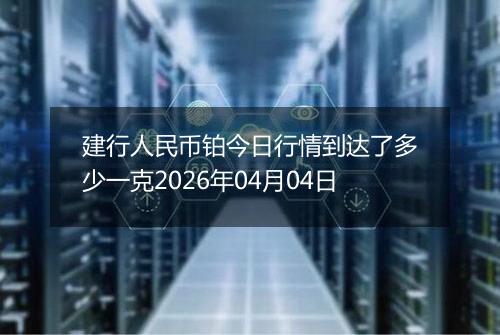 建行人民币铂今日行情到达了多少一克2026年04月04日