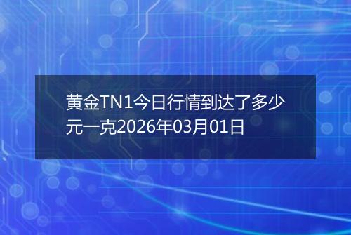 黄金TN1今日行情到达了多少元一克2026年03月01日