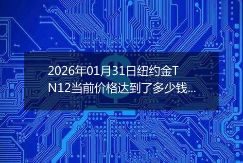 2026年01月31日纽约金TN12当前价格达到了多少钱一克2026年01月31日