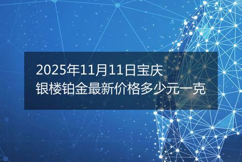 2025年11月11日宝庆银楼铂金最新价格多少元一克