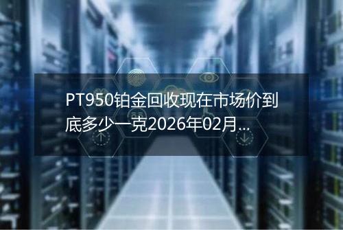 PT950铂金回收现在市场价到底多少一克2026年02月19日