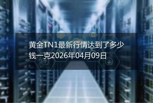 黄金TN1最新行情达到了多少钱一克2026年04月09日