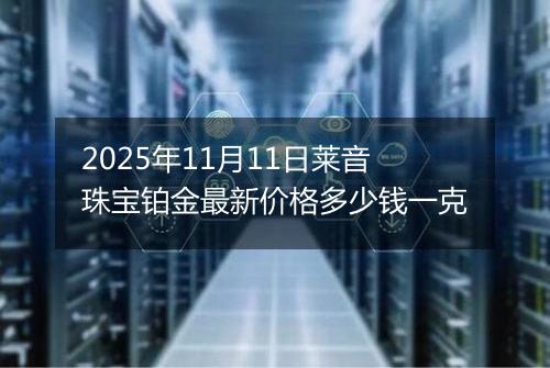2025年11月11日莱音珠宝铂金最新价格多少钱一克