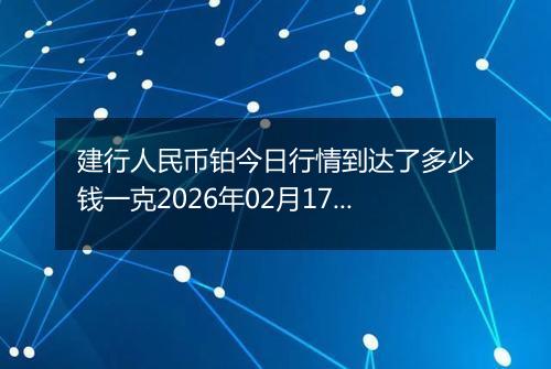 建行人民币铂今日行情到达了多少钱一克2026年02月17日