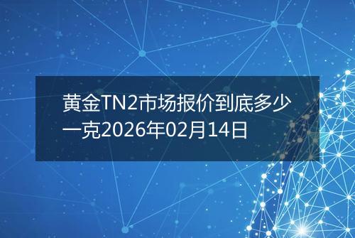 黄金TN2市场报价到底多少一克2026年02月14日