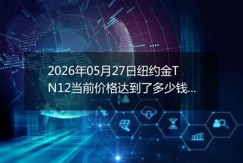 2026年05月27日纽约金TN12当前价格达到了多少钱一克2026年05月27日