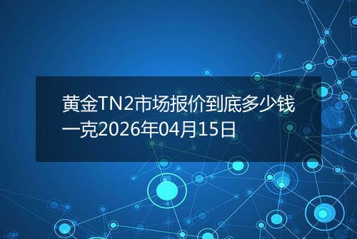 黄金TN2市场报价到底多少钱一克2026年04月15日