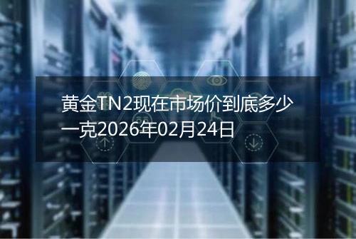 黄金TN2现在市场价到底多少一克2026年02月24日