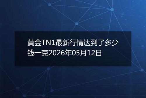 黄金TN1最新行情达到了多少钱一克2026年05月12日