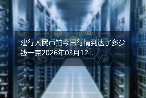建行人民币铂今日行情到达了多少钱一克2026年03月12日