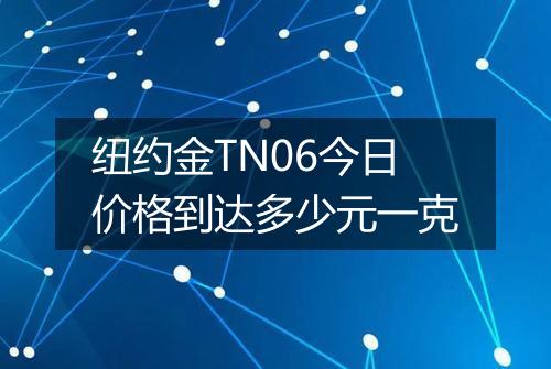 纽约金TN06今日价格到达多少元一克