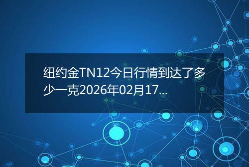 纽约金TN12今日行情到达了多少一克2026年02月17日